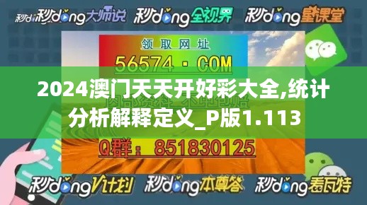 2024澳门天天开好彩大全,统计分析解释定义_P版1.113