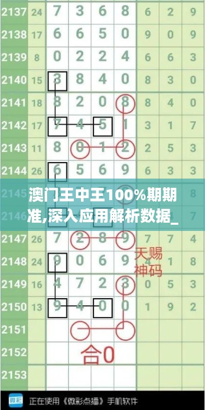 澳门王中王100%期期准,深入应用解析数据_SP3.568