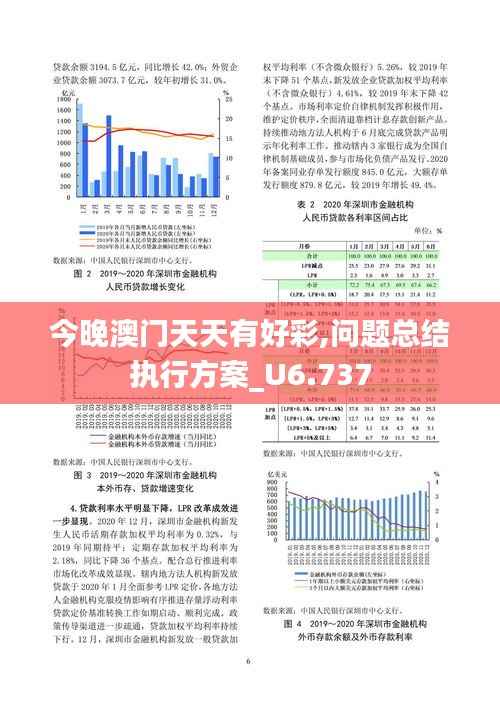 今晚澳门天天有好彩,问题总结执行方案_U6.737