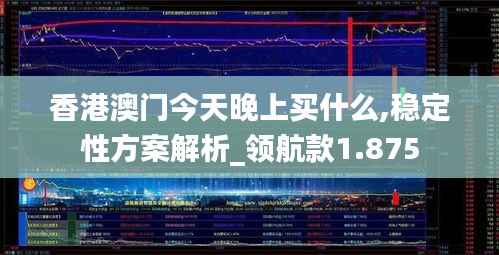 香港澳门今天晚上买什么,稳定性方案解析_领航款1.875