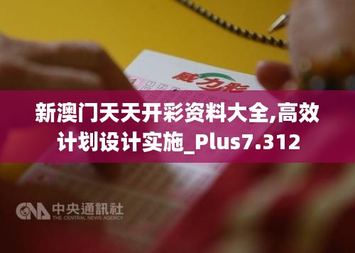 新澳门天天开彩资料大全,高效计划设计实施_Plus7.312