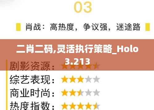 二肖二码,灵活执行策略_Holo3.213