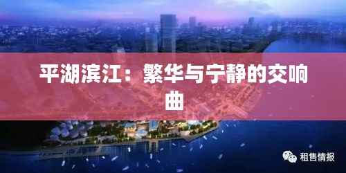 平湖滨江:繁华与宁静的交响曲