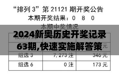 2024新奥历史开奖记录63期,快速实施解答策略_X3.995