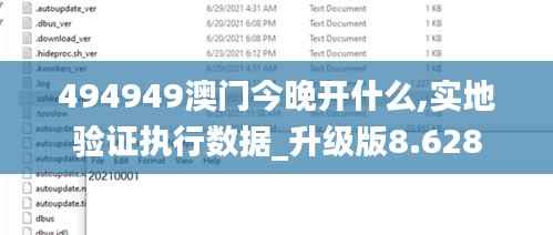 494949澳门今晚开什么,实地验证执行数据_升级版8.628