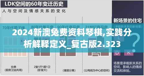 2024新澳兔费资料琴棋,实践分析解释定义_复古版2.323