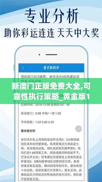 新澳门正版免费大全,可靠性执行策略_黄金版1.612