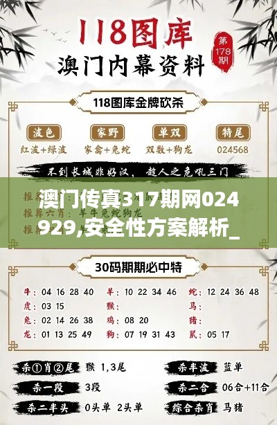 澳门传真317期网024929,安全性方案解析_网页版110.283