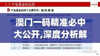 澳门一码精准必中大公开,深度分析解释定义_GT1.324