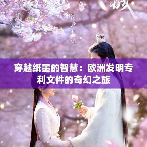 穿越纸墨的智慧:欧洲发明专利文件的奇幻之旅