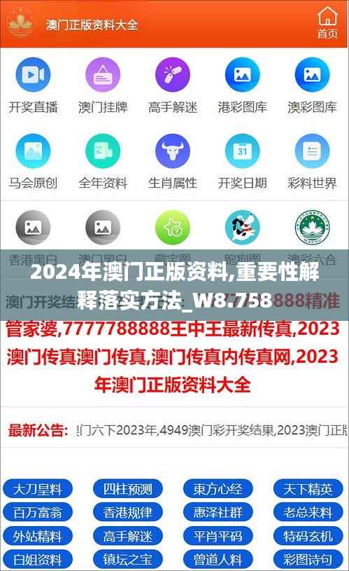 2024年澳门正版资料,重要性解释落实方法_W8.758