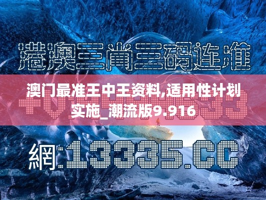 澳门最准王中王资料,适用性计划实施_潮流版9.916