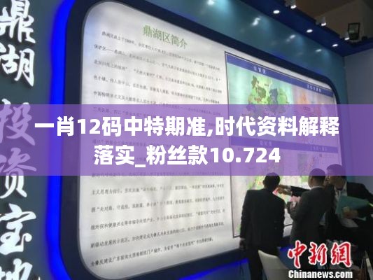 一肖12码中特期准,时代资料解释落实_粉丝款10.724