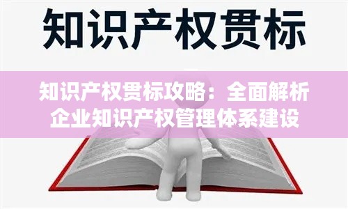 知识产权贯标攻略:全面解析企业知识产权管理体系建设