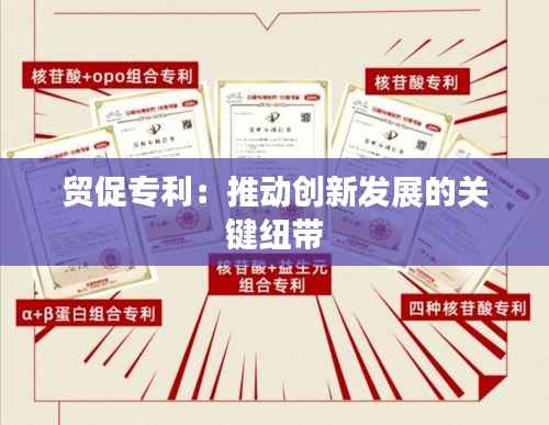 贸促专利:推动创新发展的关键纽带