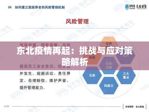 东北疫情再起:挑战与应对策略解析