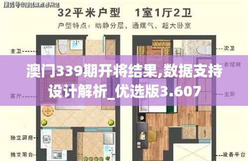 澳门339期开将结果,数据支持设计解析_优选版3.607
