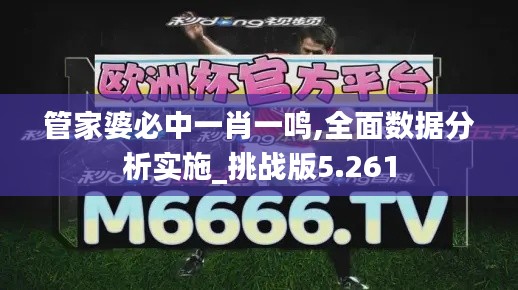 管家婆必中一肖一鸣,全面数据分析实施_挑战版5.261