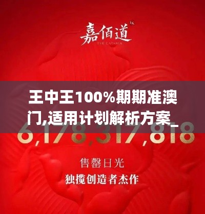 王中王100%期期准澳门,适用计划解析方案_安卓版7.422
