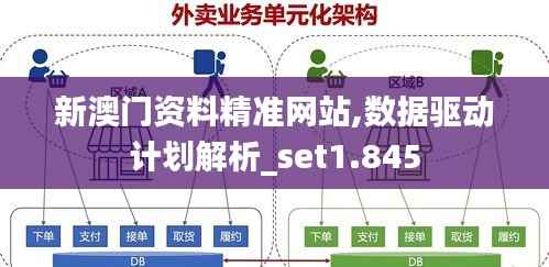 新澳门资料精准网站,数据驱动计划解析_set1.845