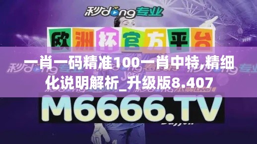 一肖一码精准100一肖中特,精细化说明解析_升级版8.407