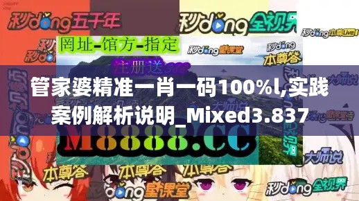 管家婆精准一肖一码100%l,实践案例解析说明_Mixed3.837