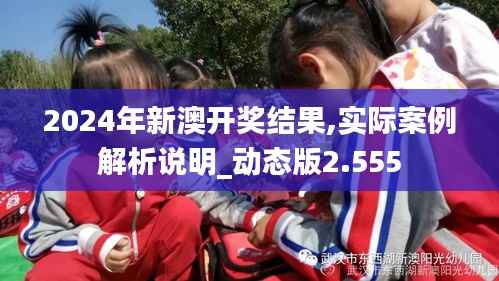 2024年新澳开奖结果,实际案例解析说明_动态版2.555