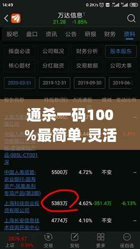 通杀一码100%最简单,灵活实施计划_Mixed4.176