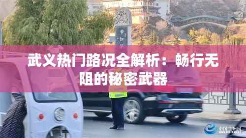武义热门路况全解析:畅行无阻的秘密武器