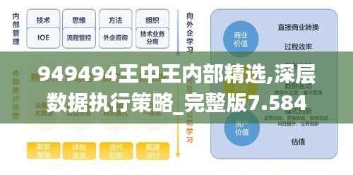 949494王中王内部精选,深层数据执行策略_完整版7.584