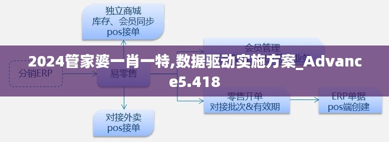2024管家婆一肖一特,数据驱动实施方案_Advance5.418
