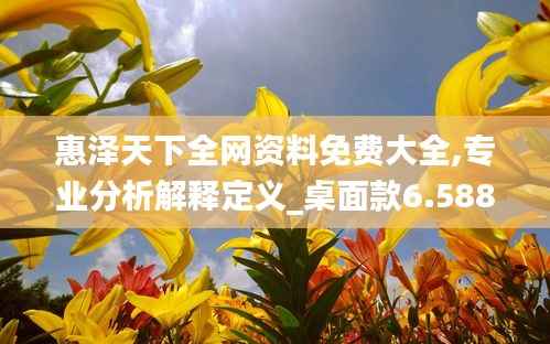 惠泽天下全网资料免费大全,专业分析解释定义_桌面款6.588