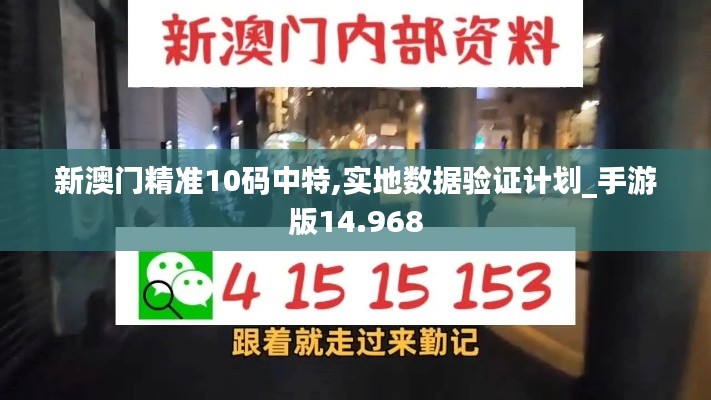 新澳门精准10码中特,实地数据验证计划_手游版14.968