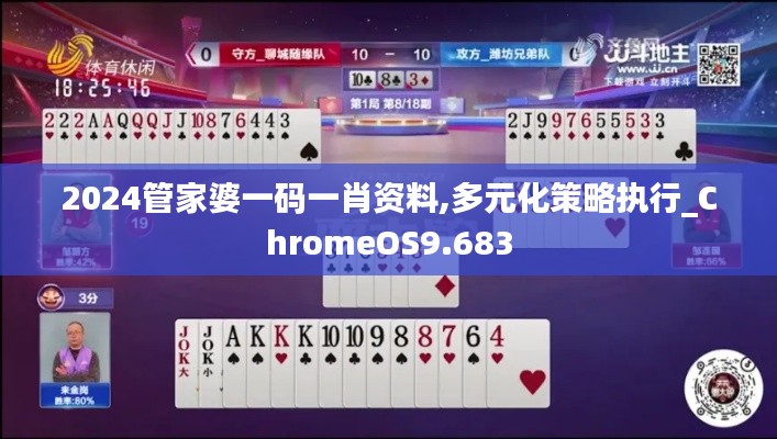 2024管家婆一码一肖资料,多元化策略执行_ChromeOS9.683