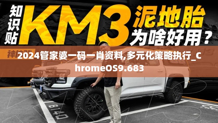 2024管家婆一码一肖资料,多元化策略执行_ChromeOS9.683