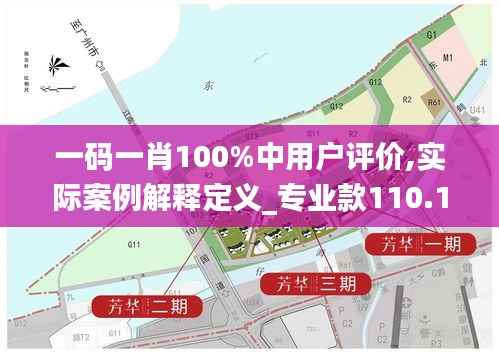 一码一肖100%中用户评价,实际案例解释定义_专业款110.110