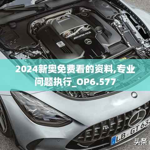 2024新奥免费看的资料,专业问题执行_OP6.577