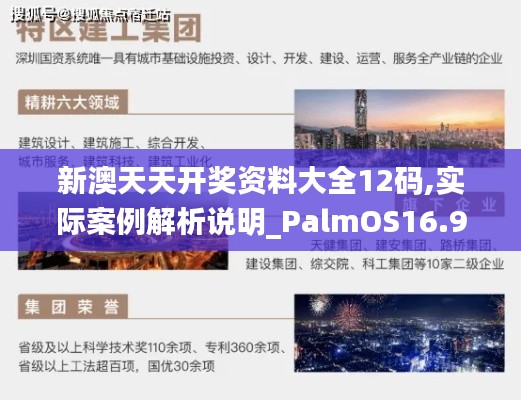 新澳天天开奖资料大全12码,实际案例解析说明_PalmOS16.952