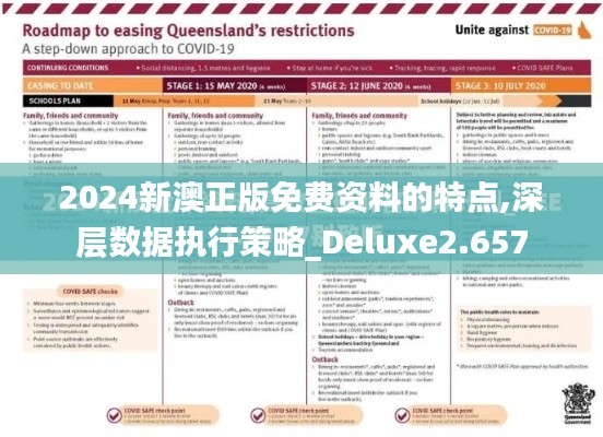 2024新澳正版免费资料的特点,深层数据执行策略_Deluxe2.657