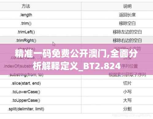精准一码免费公开澳门,全面分析解释定义_BT2.824
