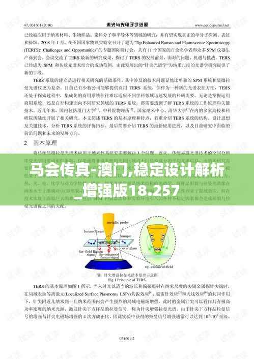 马会传真-澳门,稳定设计解析_增强版18.257