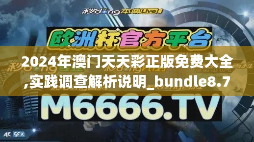 2024年澳门天天彩正版免费大全,实践调查解析说明_bundle8.794
