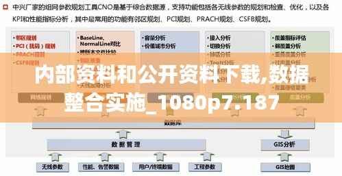 内部资料和公开资料下载,数据整合实施_1080p7.187