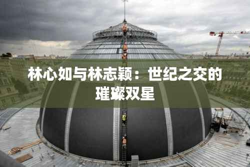 林心如与林志颖:世纪之交的璀璨双星