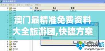 澳门最精准免费资料大全旅游团,快捷方案问题解决_Windows11.777