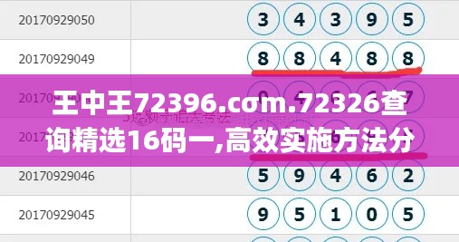 王中王72396.cσm.72326查询精选16码一,高效实施方法分析_界面版5.184