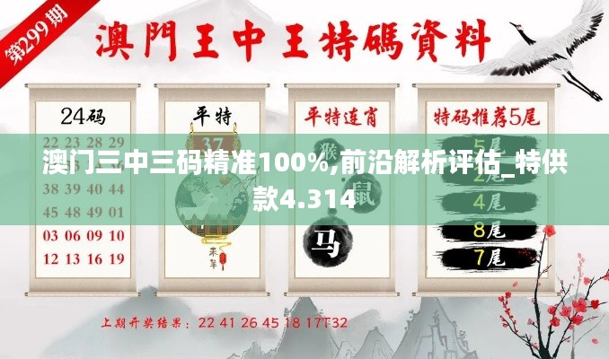 澳门三中三码精准100%,前沿解析评估_特供款4.314