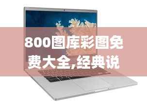 800图库彩图免费大全,经典说明解析_Chromebook3.888