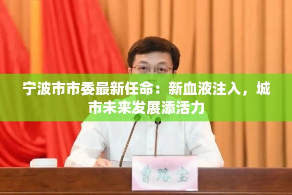 宁波市市委最新任命:新血液注入,城市未来发展添活力