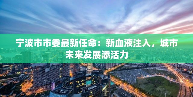 宁波市市委最新任命:新血液注入,城市未来发展添活力